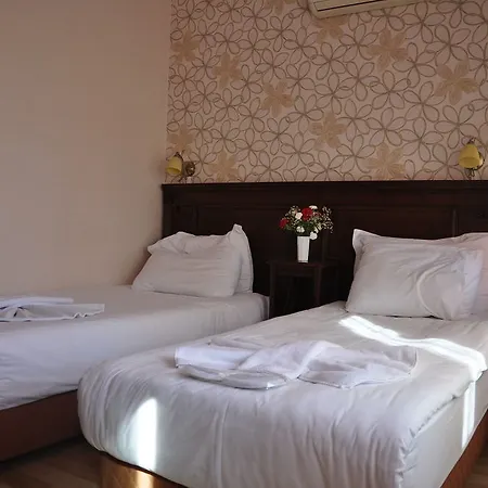 Hotel Center Hill Hotel