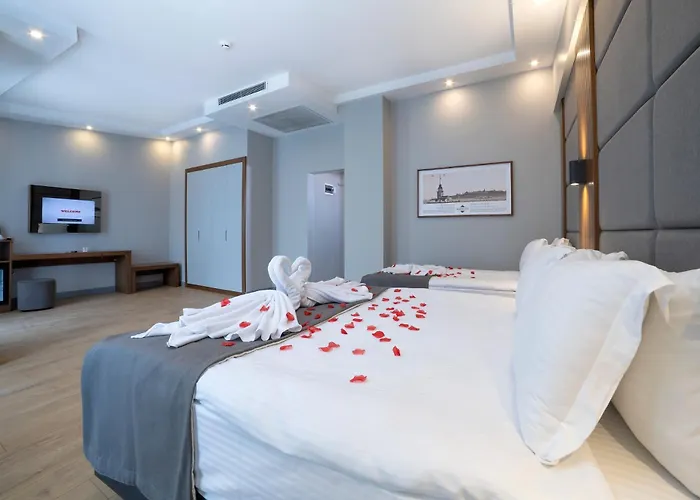 Center Hill فندق